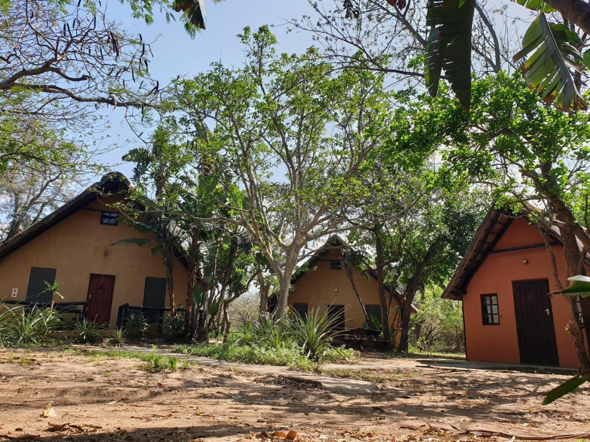 Pumusa Bushcamp ฮลูฮลูเว ภายนอก รูปภาพ