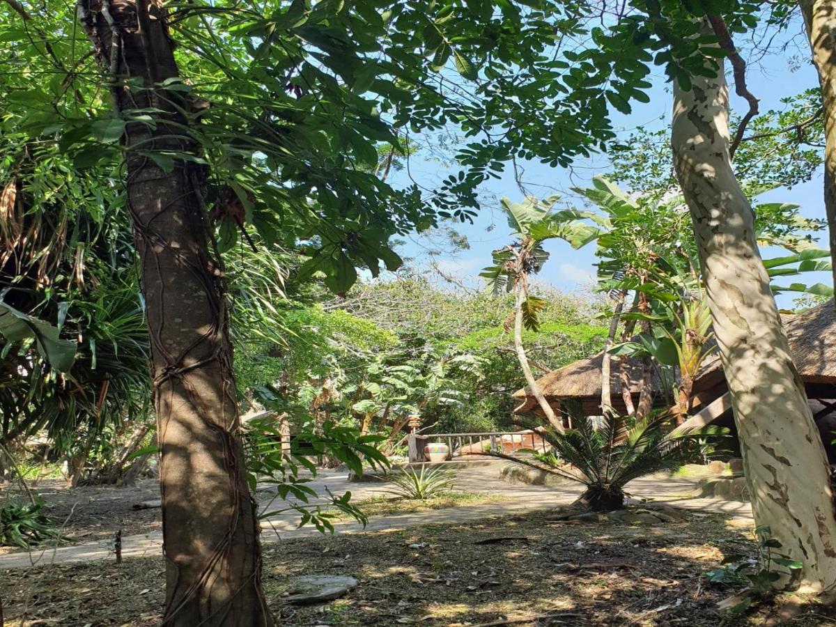 Pumusa Bushcamp ฮลูฮลูเว ภายนอก รูปภาพ
