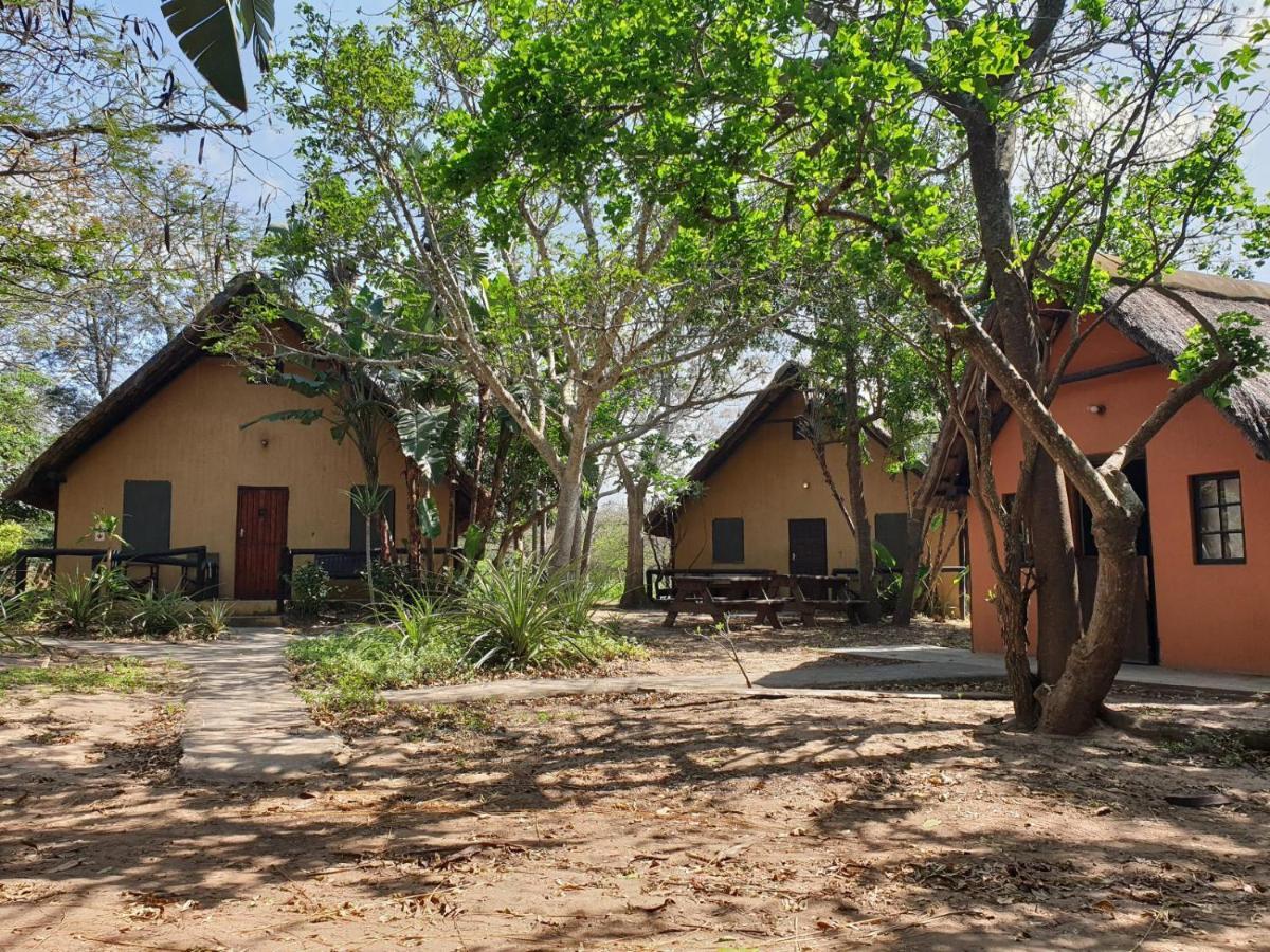 Pumusa Bushcamp ฮลูฮลูเว ภายนอก รูปภาพ